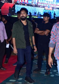 waltair veerayya pre release  10